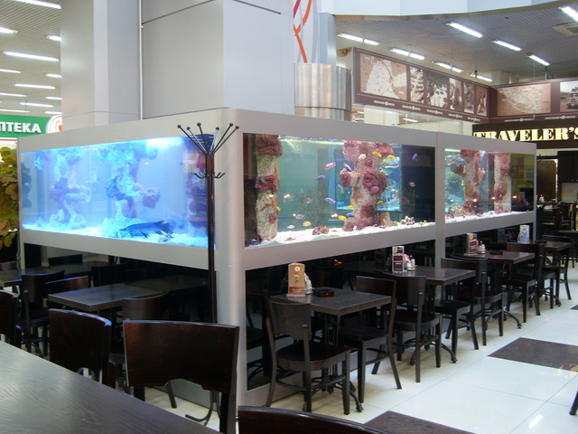 http://www.aquasib.ru/our_works/aquariums_partitions/big20.jpg